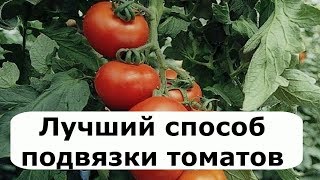 305. Идеальный вариант подвязки ТОМАТОВ и ОГУРЦОВ 305. Идеальный вариант подвязки ТОМАТОВ и ОГУРЦОВ