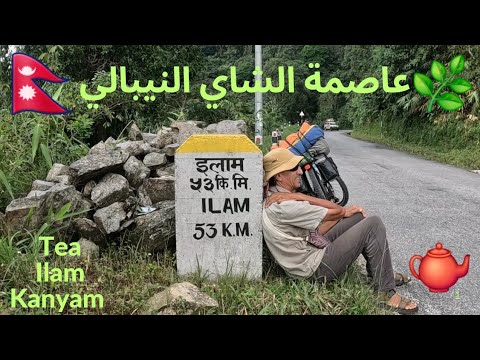 تجربة صعبة 28 لم أتوقعها في إيلام عاصمة أجود أنواع الشاي في نيبال    