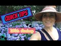 Singing Quick Tip | Free Online Voice Lessons For Beginners