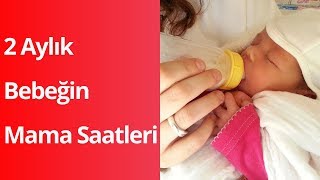 2 Aylık Bebek Kaç Saatte Bir Mama Yer? Resimi