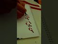 من يوم ميلادي وانا زملكاوي اجمل كتابه للزمالك الزمالك شيكابالا من يوم ميلادي وانا زملكاوي اجمل كتابه للزمالك الزمالك شيكابالا