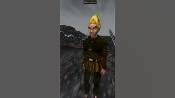 Killing the adoring fan in Morrowind every day until Skywind and Skyblivion are released Day - 436