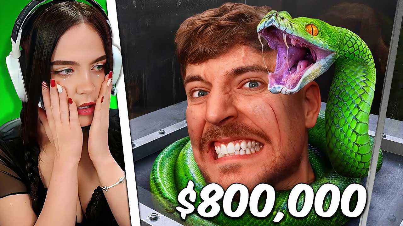 Staryuuki Reacciona a Mrbeast | Enfrenta Tus Mayores Miedos Y Gana $800,000