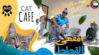أغرب مقهى في العالم ، شيء لا يصدق I دبي  CAT CAFE DUBAI