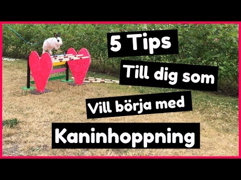 Vad är Rabbitreels Quick Login och hur fungerar det?