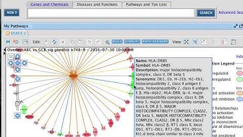 AACR-Bioinformatics-2016_pt8_Using IPA to build our own networks with our gene list