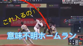 【激選】意味不明•変態ホームランまとめ