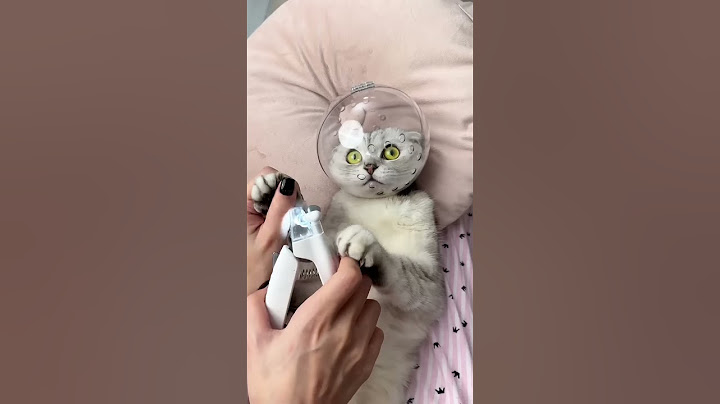 How to trim cat claws 💅🏼