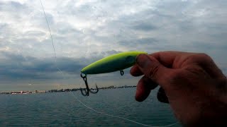 Smack It Baby!!! - BLUEFISH ON TOP - Banging Topwater Blues at Dusk