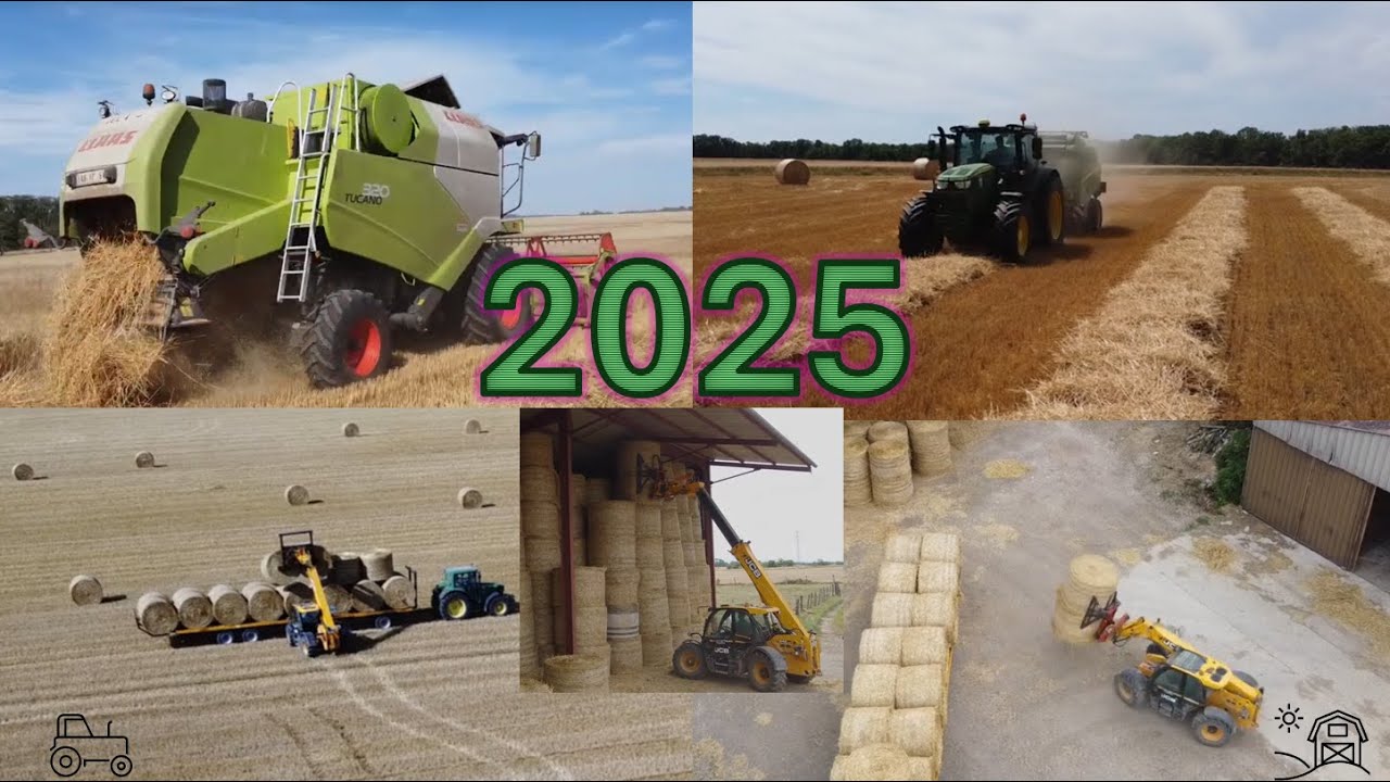 Blé 2025,  on moissonne , on presse la paille , on la rentre  et on la stocke , c'est parti !