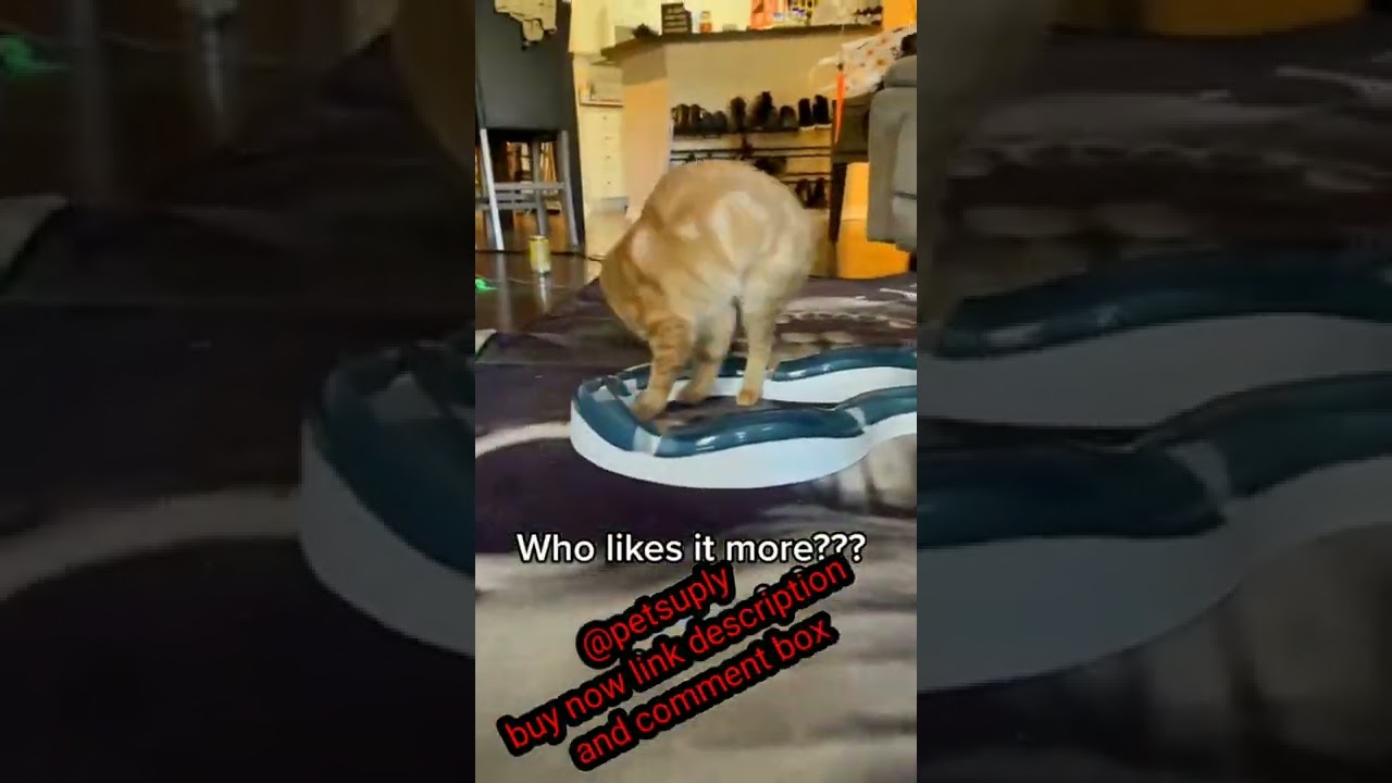 New 😼 High-Tech Gadgets For Your Cat and Dog 🐕‍🦺 Gadgets for pets-PetTechnology🦮 @petsuply 😼 