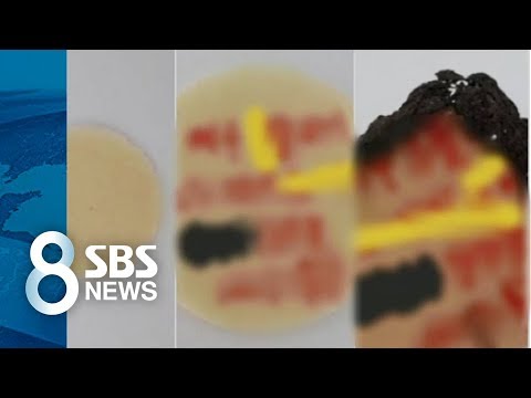 예수 성체 불태우고 욕설 워마드 또 남성 혐오 논란 SBS 