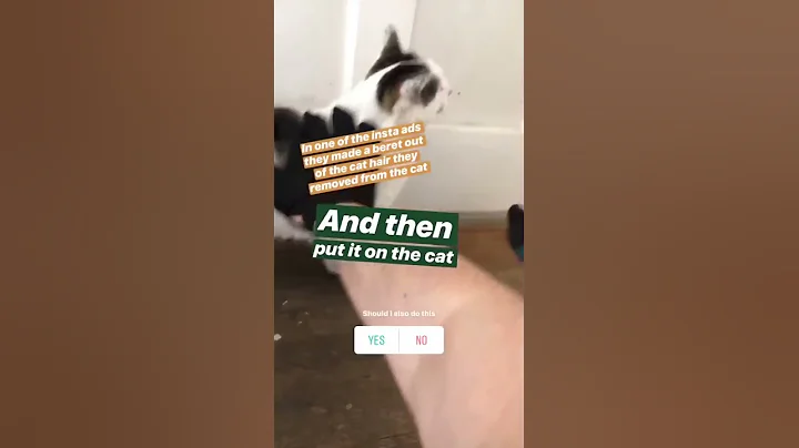 Milo Movie