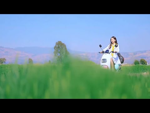 暗香浮动，岁月如歌，故人情深，MV《故如暗香》感人至深。