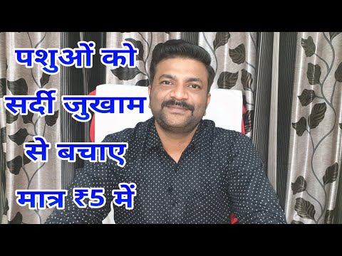 वीडियो: सर्दी की बिल्ली का इलाज कैसे करें