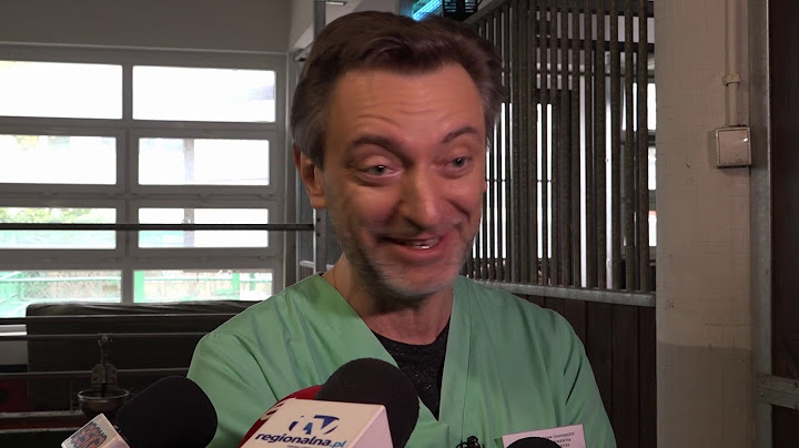 WROCŁAW. Przyszli weterynarze uczą się na fantomach