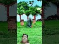 मोर का डांस #song #trending 🌿🌿🌿🌿🌿🥀🥀