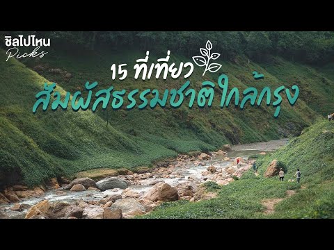 วีดีโอ: 11 สายพันธุ์ที่ไม่รู้จักบรรพบุรุษของพวกเขา