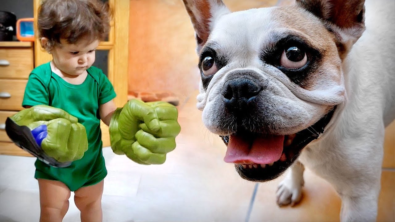 A LAURA GANHOU UMA CAMISETA DA YUFFIE! 👚🐶 Família Brancoala #Shorts 