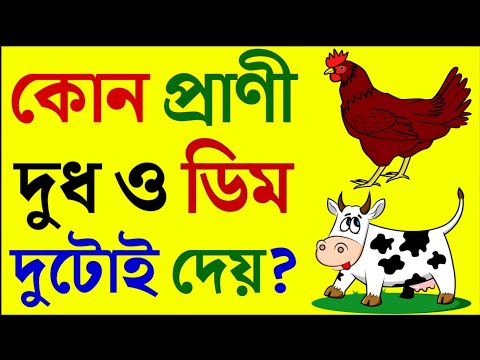 ভিডিও: গোলকধাঁধা মানে কি জটিল?