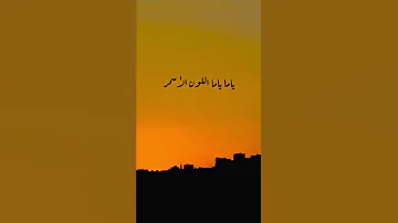 علاء الزلزلي شكل الحلو 