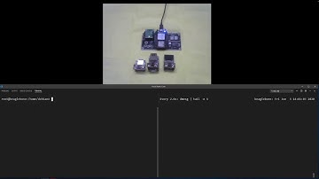 Mikrobus Driver Demonstration