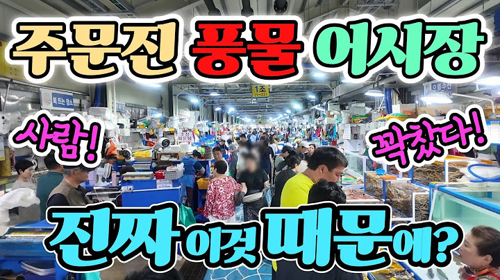 주문진 풍물 어시장 불황 맞아? 대체 왜 모일까! 오징어 1500원 난리 났네! 어민들 울상? 긴급!