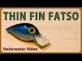 Underwater Video of THIN FIN FATSO / Storm ファッツオーの水中ルアー映像