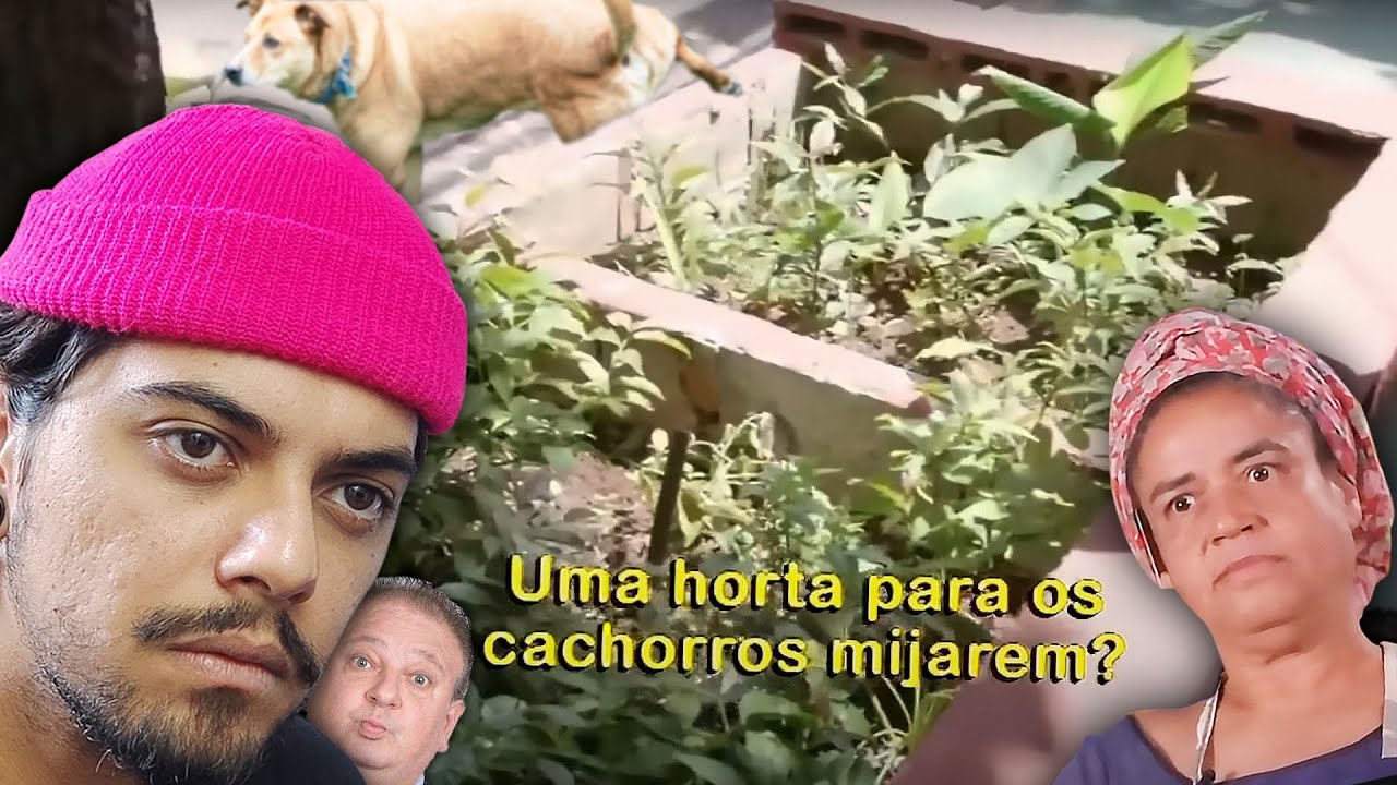 A horta do restaurante fica na rua