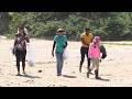 Volunteers Step Up To Protect Turtle Nesting Grounds At Las Cuevas Beach