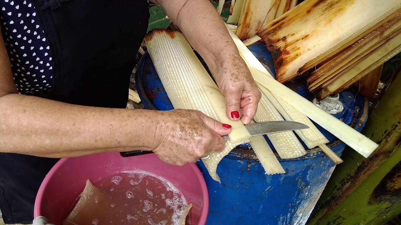 video aula como preparar a fibra de bananeira com vinagre e amaciante de roupas