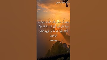 سورة محمد من آية 16 إلى آية 18 بصوت الشيخ ياسر الدوسري♥♥