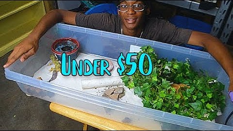 How to Build DIY: Easy Budget Beginner Leopard Gecko Tub Enclosure - Leopard Gecko Breeding Tub