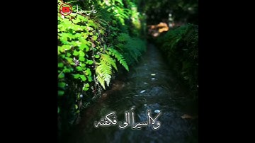 حالات واتس اب دعاء يوم الجمعه ♡انستقرام حالات واتس اب ♡سوره الكهف يوم الجمعه ♡ اناشيد عن يوم الجمعه
