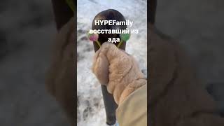 Канал Hypefamily Восставший Из Ада