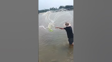 Big Catch fishing#Net fishing#fisherman#fishing life 5
