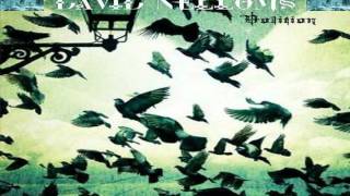 David Nelloms - Volition (Original Mix)