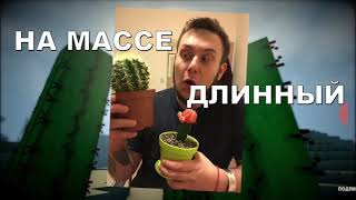 Самые редкие сообщения о смерти в Minecraft. Просмотр.