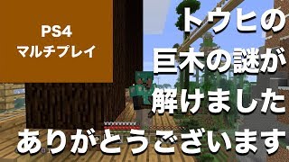 マインクラフト Ps4 コミュニティ マルチプレイ Part21 トウヒの巨木が育たないという謎が解けました ありがとうございました Youtube