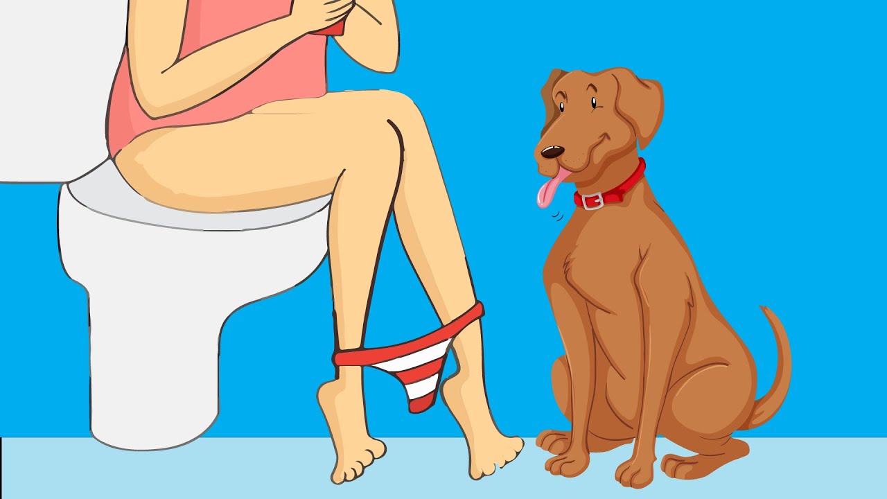 Ever Wondered Why Your Dog Follows You Everywhere? This Is Why 