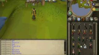 runescape skill capes and there emotes!-and a skill cape glitch!!