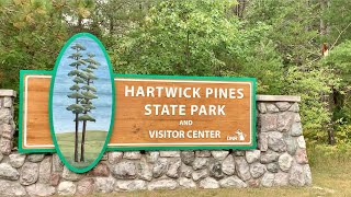 Hiking The Mertz Grade Foot Trail At Hartwick Pines State Park / Grayling, Michigan