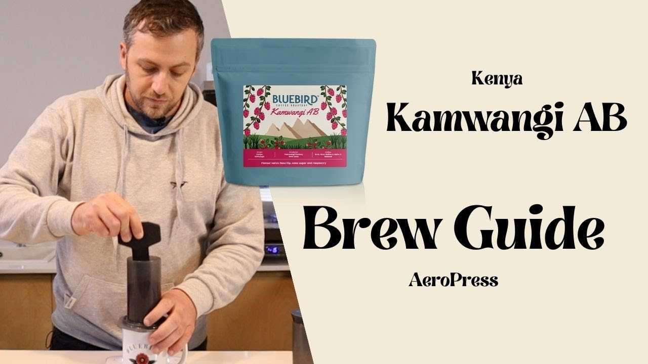 How to Brew a Japanese Coffee with AeroPress