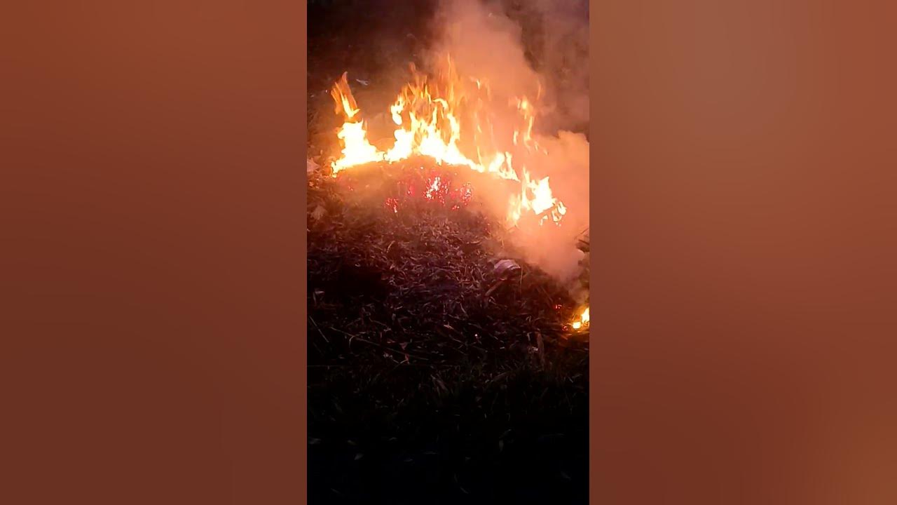Fire 2024 YouTube