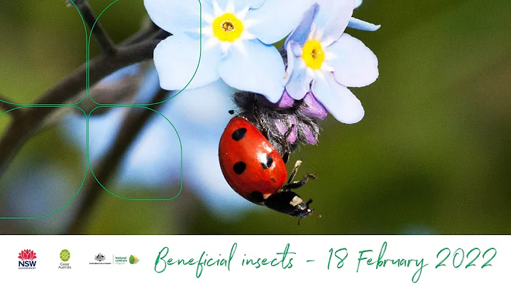 Beneficial insects webinar