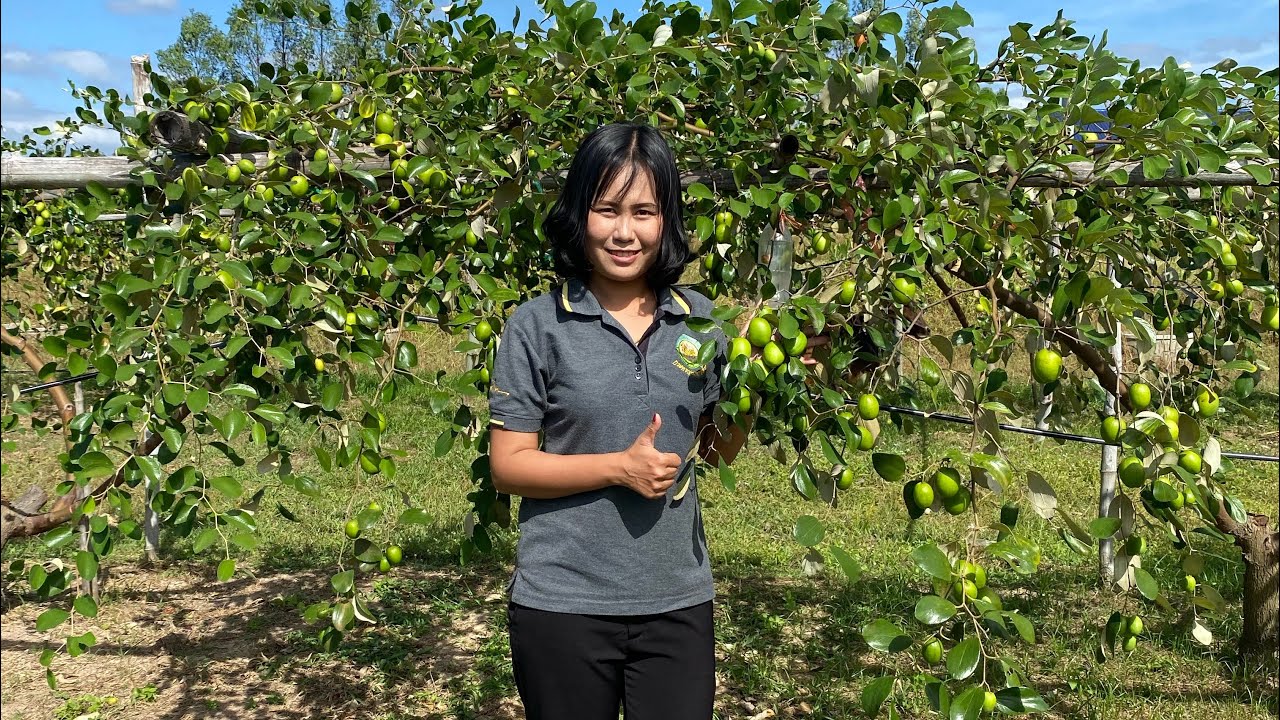 ปุ๋ยพาเที่ยวชมสวนพุทรานมสด