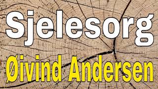 23/59 Sjelesorg (Øivind Andersen) | Bibelsk forkynnelse