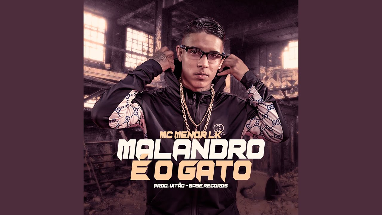 Malandro É O Gato YouTube