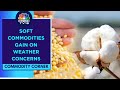 Soft commodities like cotton rubber  soybean gain on weather concerns  cnbc tv18