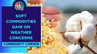 Soft Commodities Like Cotton, Rubber & Soybean Gain On Weather Concerns | CNBC TV18 screenshot 2